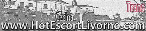 escort trans cecina|Trans Cecina, Annunci Transex a Cecina